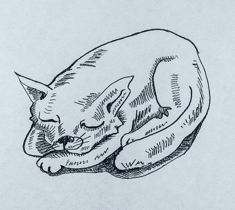 IMG_20181026_121208_410